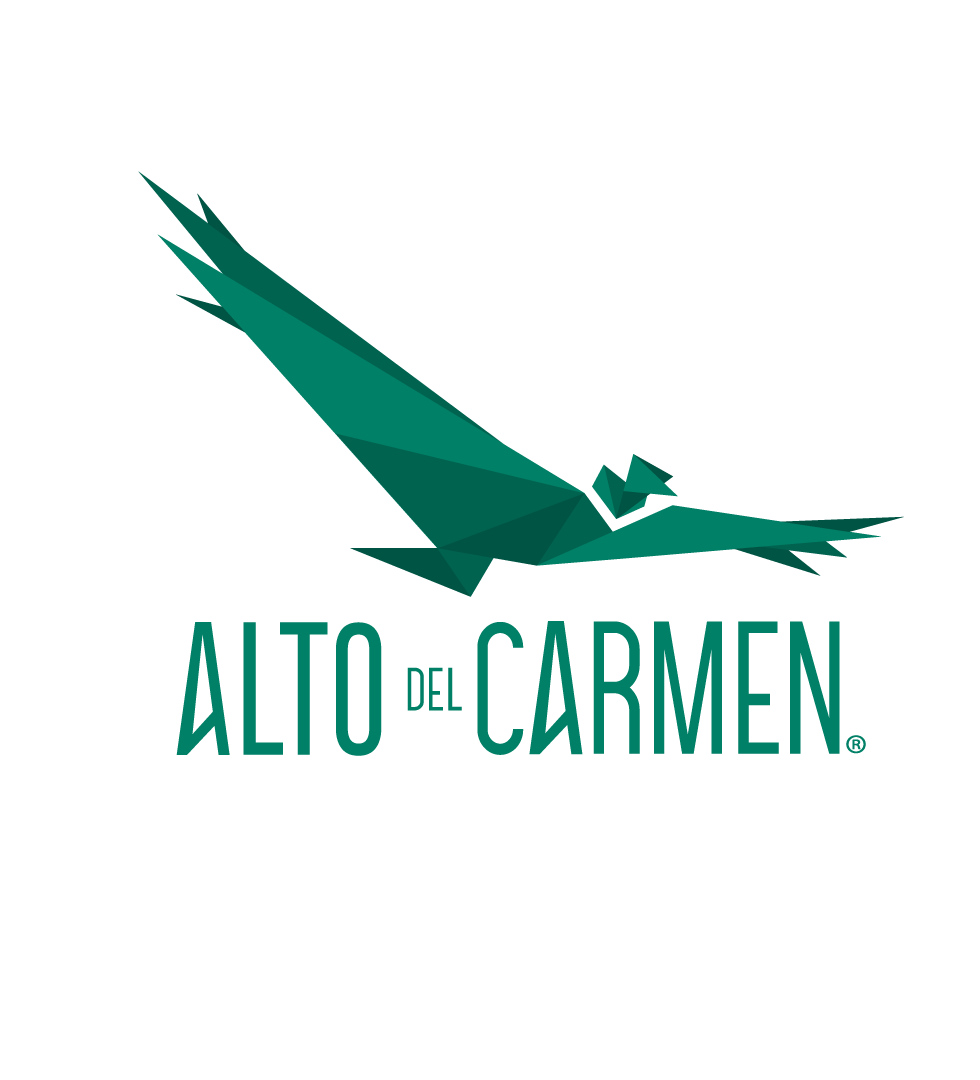 Alto del Carmen